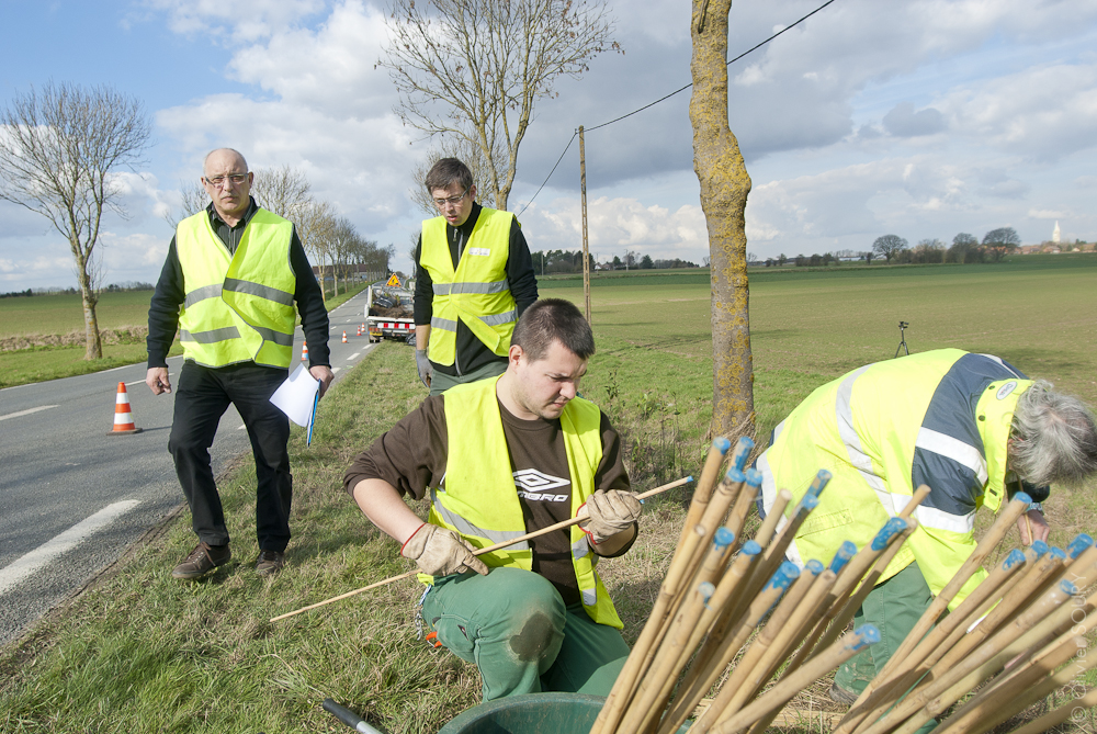 esat_stlaurent_esp_verts 34